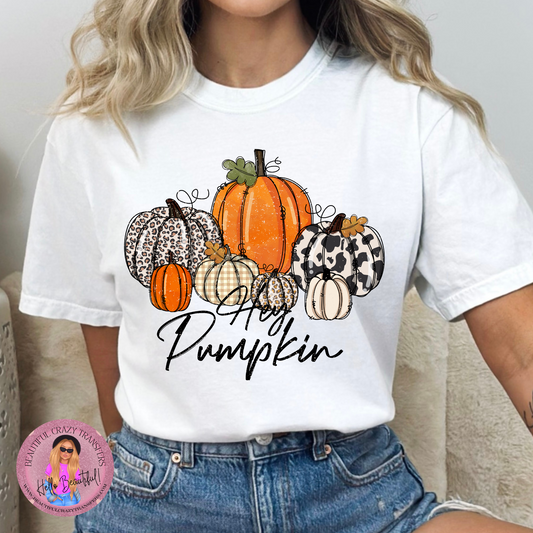 Hey Pumpkin TShirt